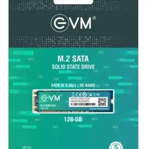 EVM 128GB M.2 Internal SSD